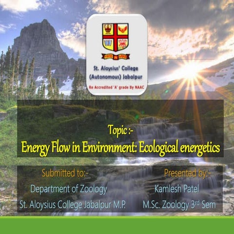 Energy Flow in Environment : Ecological Energetics