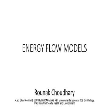 ENERGY FLOW MODELS.pdf