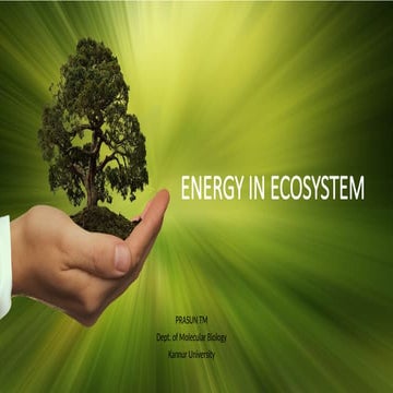 ENERGY IN ECOSYSTEM, food chain, energy pyramids.pptx