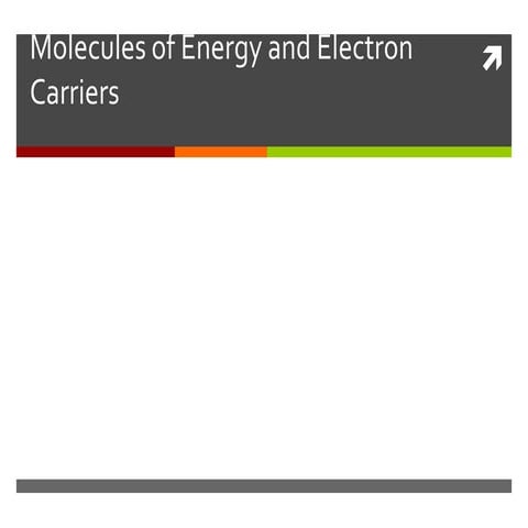 Energy Molecules