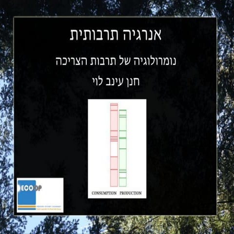 נומרולוגיה של תרבות הצריכה