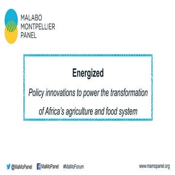 Energized Report 2019