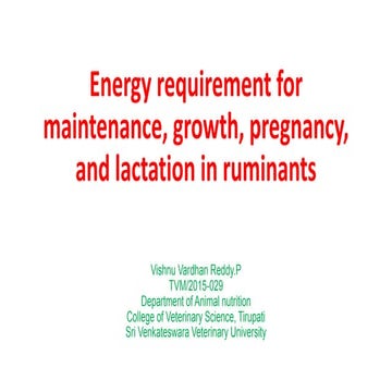 Energy requirement for maintenance, growth, pregnancy, and lactation in rumin...