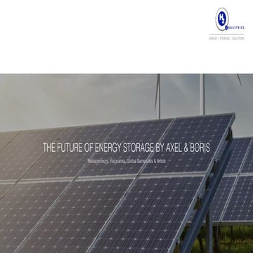 THE FUTURE OF ENERGY STORAGE BY AXEL AND BORIS