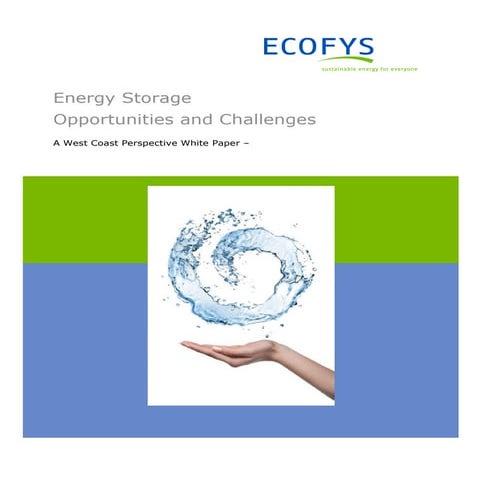 Energy Storage Opportunities and Challenges ECOFYS 