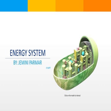 Energy system .ppt,(EXERCISE PHYSIOLOGY)