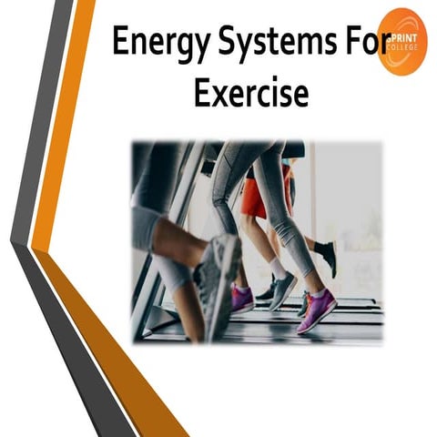 Energy Systems During Exercise