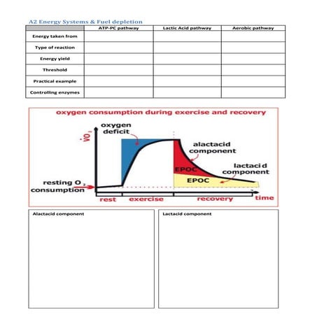 Energy systems & fatigue overview