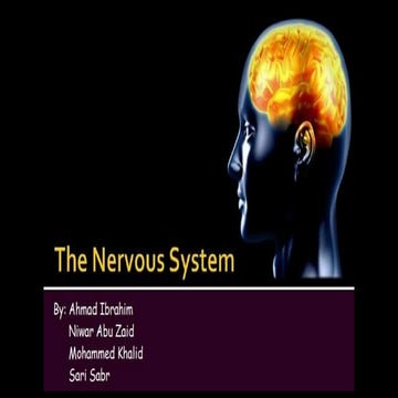 The Nervous System