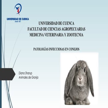 Enfemedades infecciosas conejos