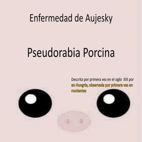 Enfermedad de aujesky