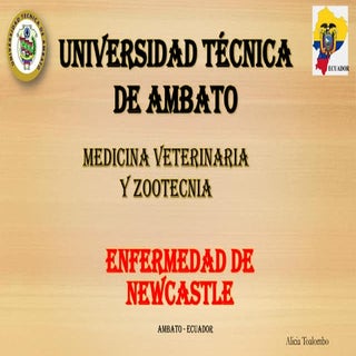 Enfermedad de newcastle