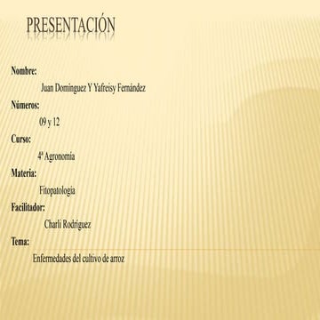 Enfermedades del cultivo de arroz