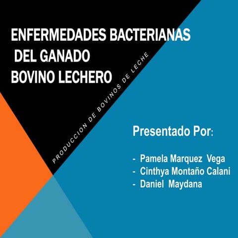 Enfermedades bacterianas en bovinos de leche
