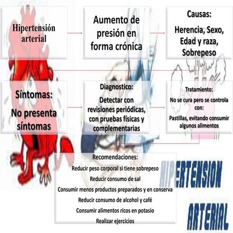 Cinematica del trauma en accidentes vehiculares | PPTX