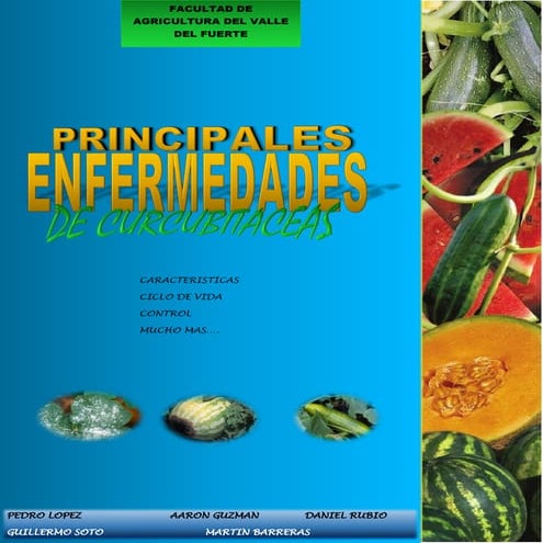 Enfermedades de curcubitaceas 2018