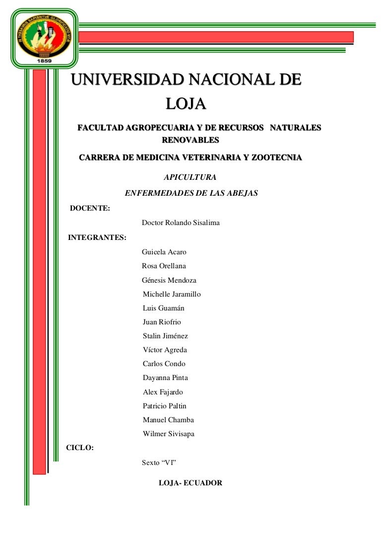¿Cómo se propagan las enfermedades fúngicas?