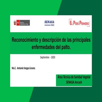 Enfermedades del palto, descripción y manejo biológico.