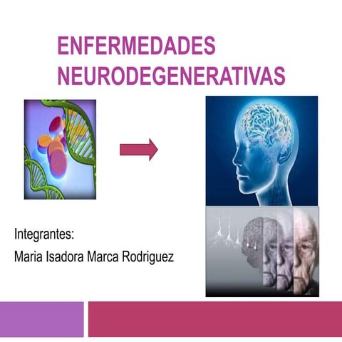 Enfermedades Neurodegenerativas