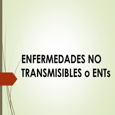 Enfermedades no transmisibles
