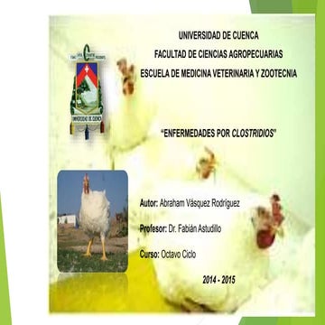 Enfermedades por clostridios