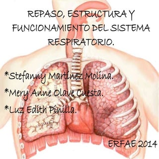 Enfermedades sistema respiratorio ppt