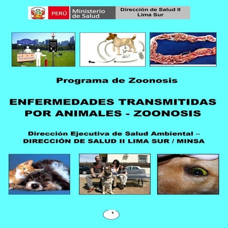 Enfermedades transmitidas por animales   zoonosis