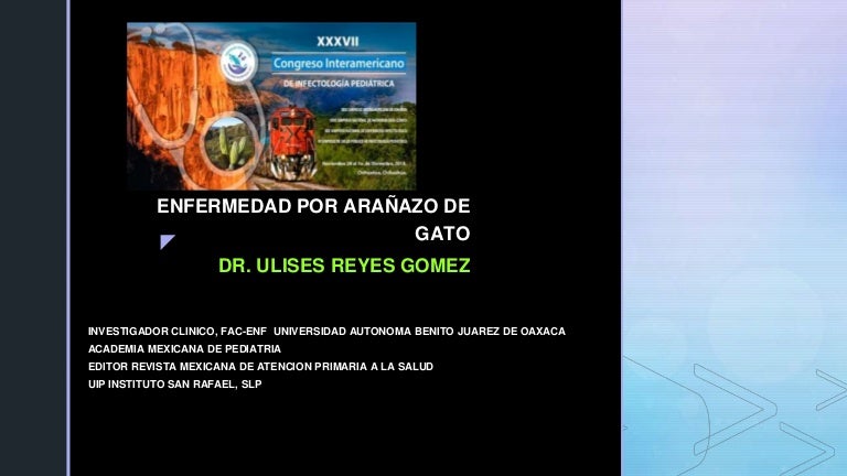 enfermedad por arañazo de gato pdf 2017