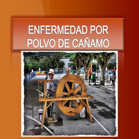 Enfermedad por polvo de cañamo