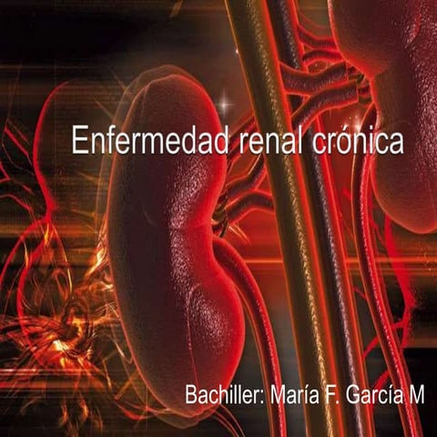 Enfermedad renal crónica seminario