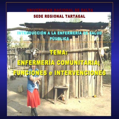 Enfermeria comunitaria Funciones e Intervenciones