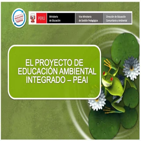 Enfoque integrador del peai 20.03.2014(1)