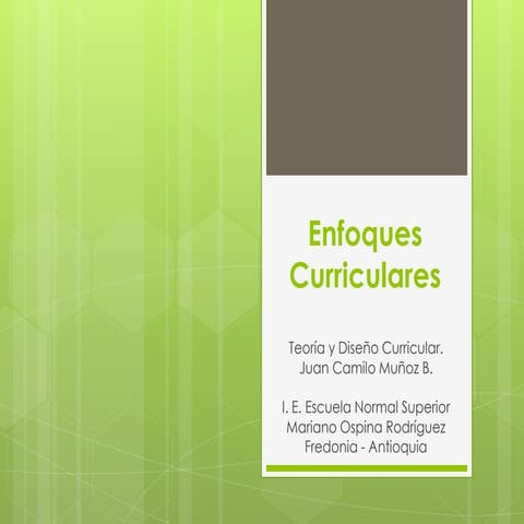 Enfoques curriculares