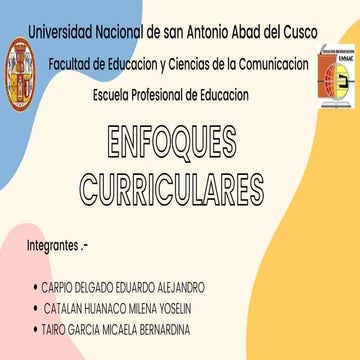ENFOQUES CURRICULARES 
