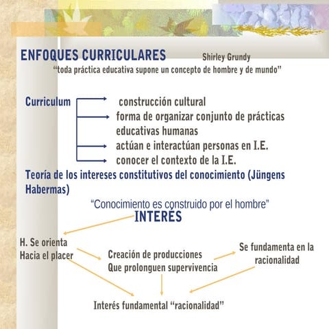 Enfoques curriculares (1) (1)