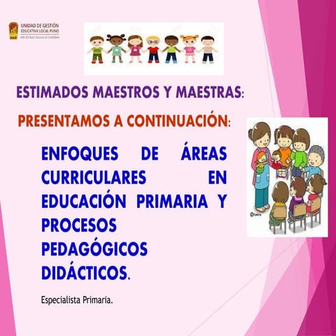 ENFOQUE Y PROCESOS DIDÁCTICOS EN PRIMARIA
