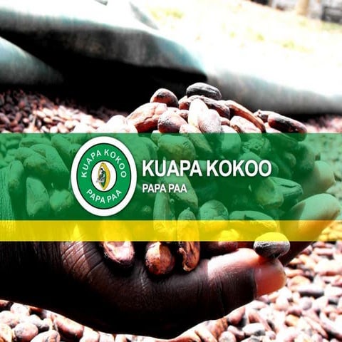 Brussels Briefing 44: Frank Okyere, Kuapa Kokoo environmental and extension m...