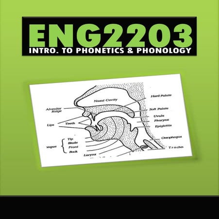 ENG2203 - Introduction to Phonetics and Phonology  vi vi.pdf