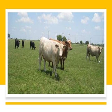 multigrade ppt in english ABOUT SOUND DEVICES: ONOMATOPOEIA ALLITERATION ASSO...