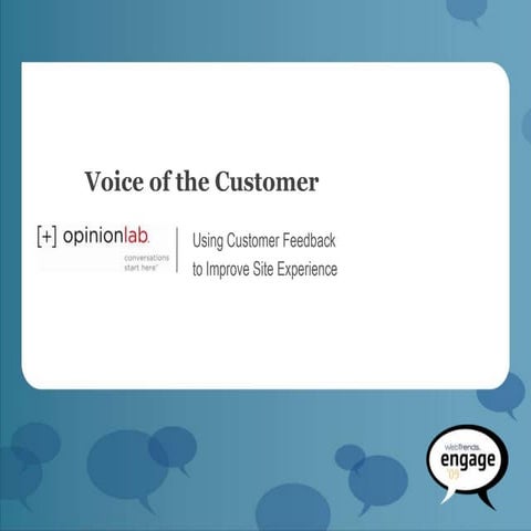 Voice of Customer in the Analytic Ecosystem