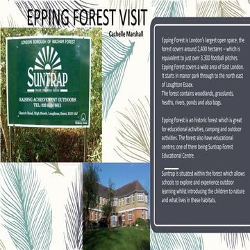 Engaging learning 2 (group)