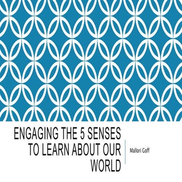 Engaging the 5 senses to learn about our