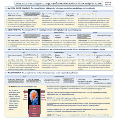 Neuroscience in Project Management (Academic poster)