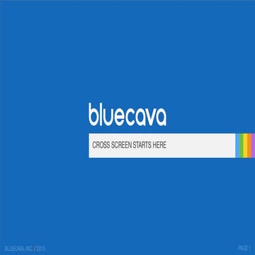 Bluecava Inc It Initiatives 2024 2025