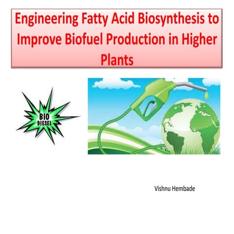 Engineering fatty acid biosynthesis
