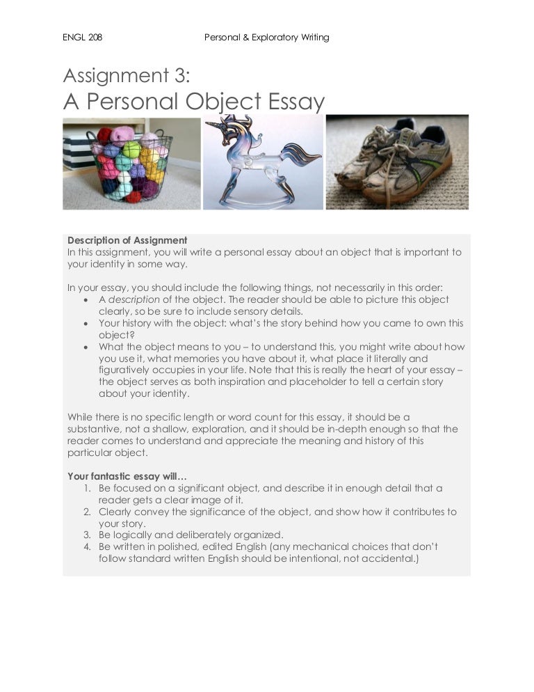 Assignment 208 essay 04 picture