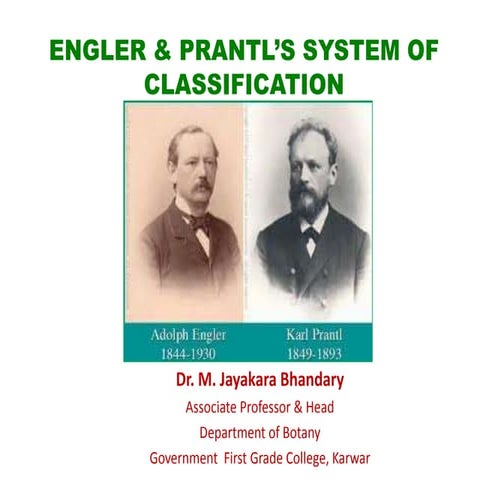 Engler & prantl system of classification