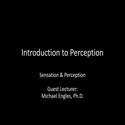 Lecture (Sensation &amp; Perception)