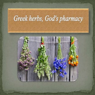 Greek Herbs, God's pharmacy