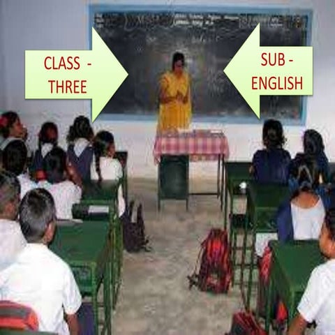 ANIMAL MEETING CLASS III